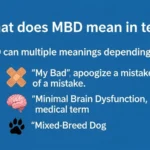what does mbd mean in text