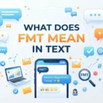what does fmt mean in text
