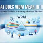 what does wdm mean in text