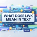 what dose lwk mean in text