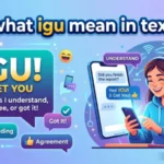 what igu mean in text