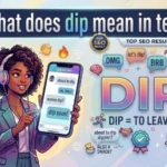 what does dip mean in text