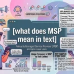 what does msp mean in text