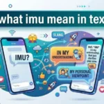 what imu mean in text