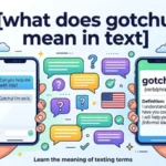 what does gotchu mean in text