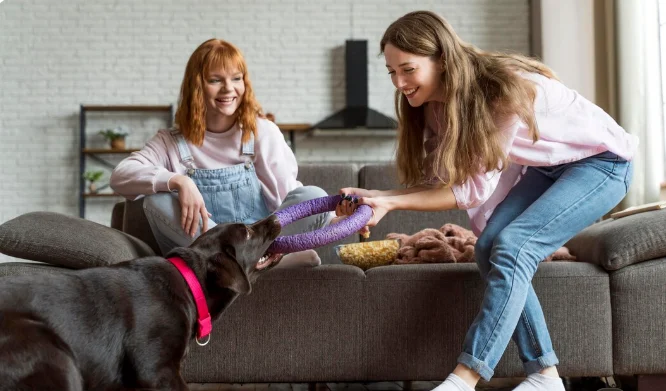 Essential Pet Care